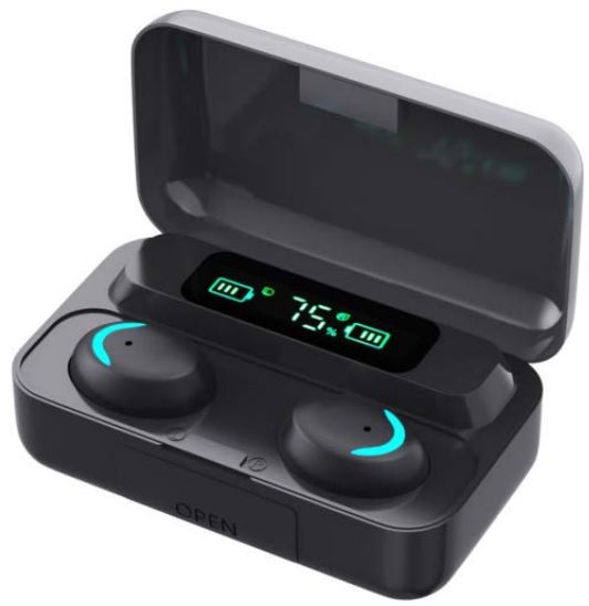 BTWS300 2 IN 1 Bluetooth Earbuds