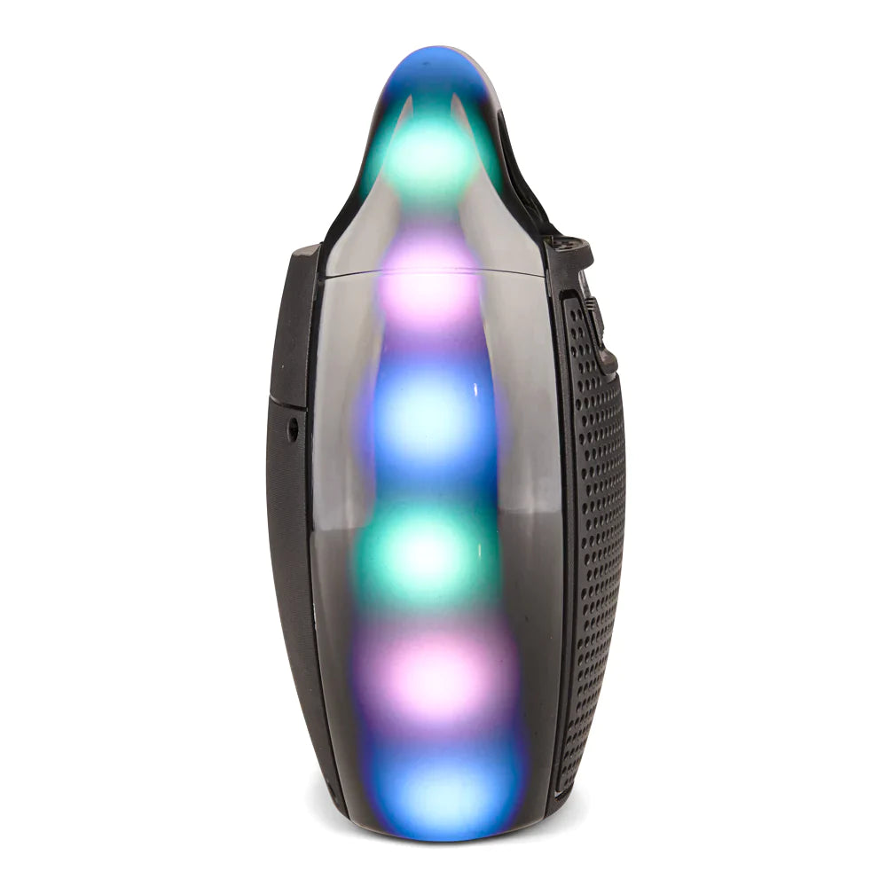 DIGITAL SUNFLASH SF-123 Rechargeable Wireless Portable Multimedia 6.5-Inch Speaker System Built-in Bluetooth