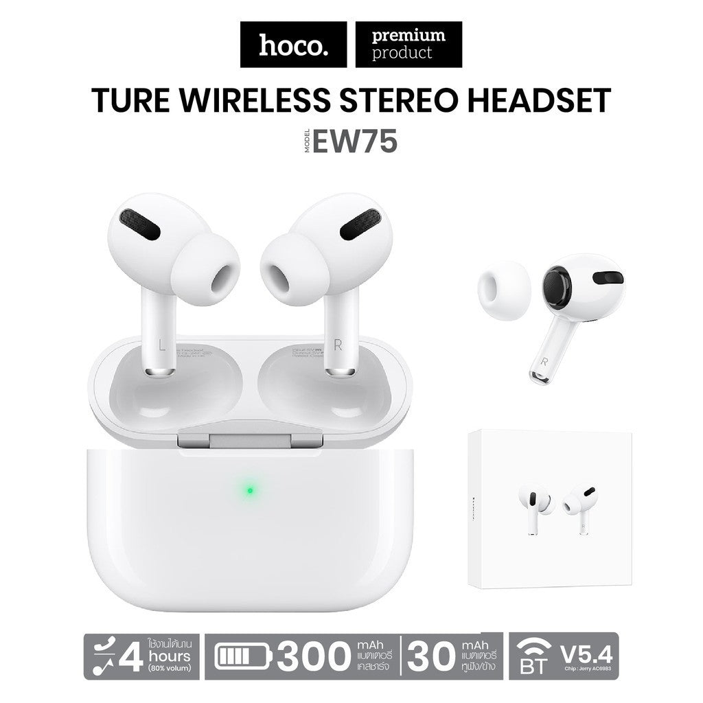 Hoco EW75  Noise Cancelling Headset