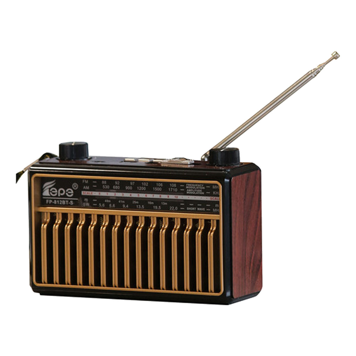 Portable Bluetooth TF-USB-MP3-SW AM & FM Radio with Solar Charging Battery