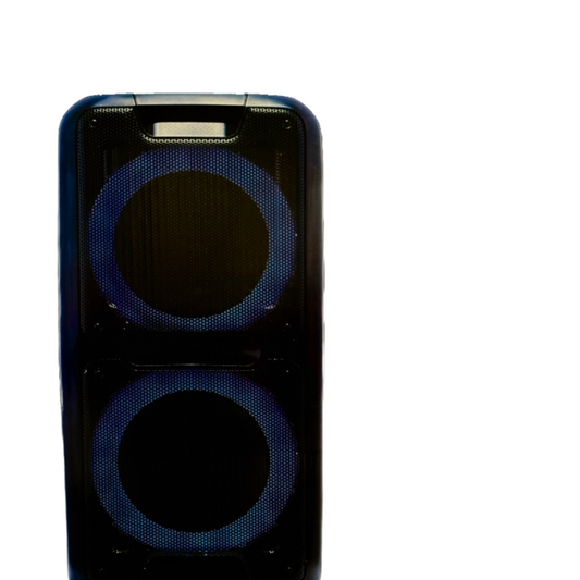 Sunflash sf-2100 Haut-parleur Véritable technologie sans fil 10'x2, rechargeable, 7 heures d'autonomie