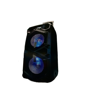 Haut-parleur Sunflash SF-2200 Véritable technologie sans fil 10'x2, rechargeable, 7 heures. Récréation